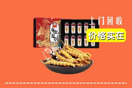 呼和浩特武川县回收冬虫夏草